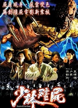 少林僵尸海报