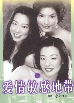 爱情敏感地带海报