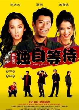 独自等待海报