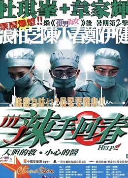 辣手回春海报