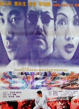 生死拳速海报