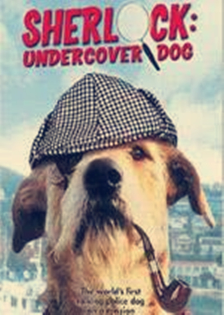 侠肝义犬海报