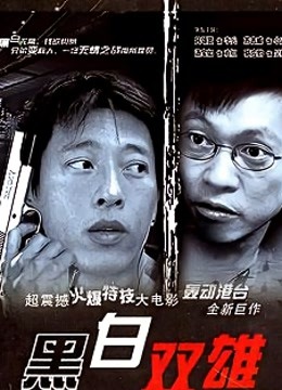 兵捉贼海报