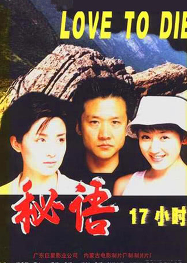 秘语十七小时海报
