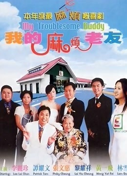 我的麻烦老友海报