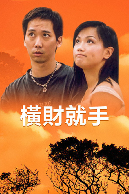 横财就手海报