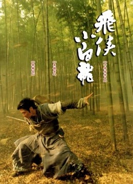飞侠小白龙海报