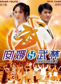 安娜与武林海报