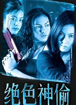 绝色神偷海报