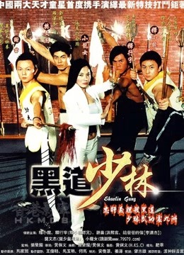 黑道少林海报