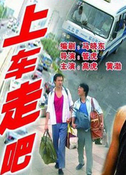 上车走吧海报