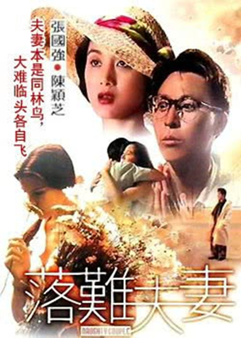 落难夫妻海报