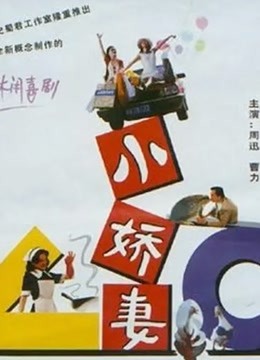 小娇妻海报