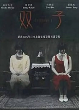 双子海报