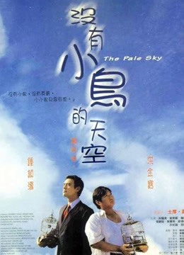 没有小鸟的天空海报