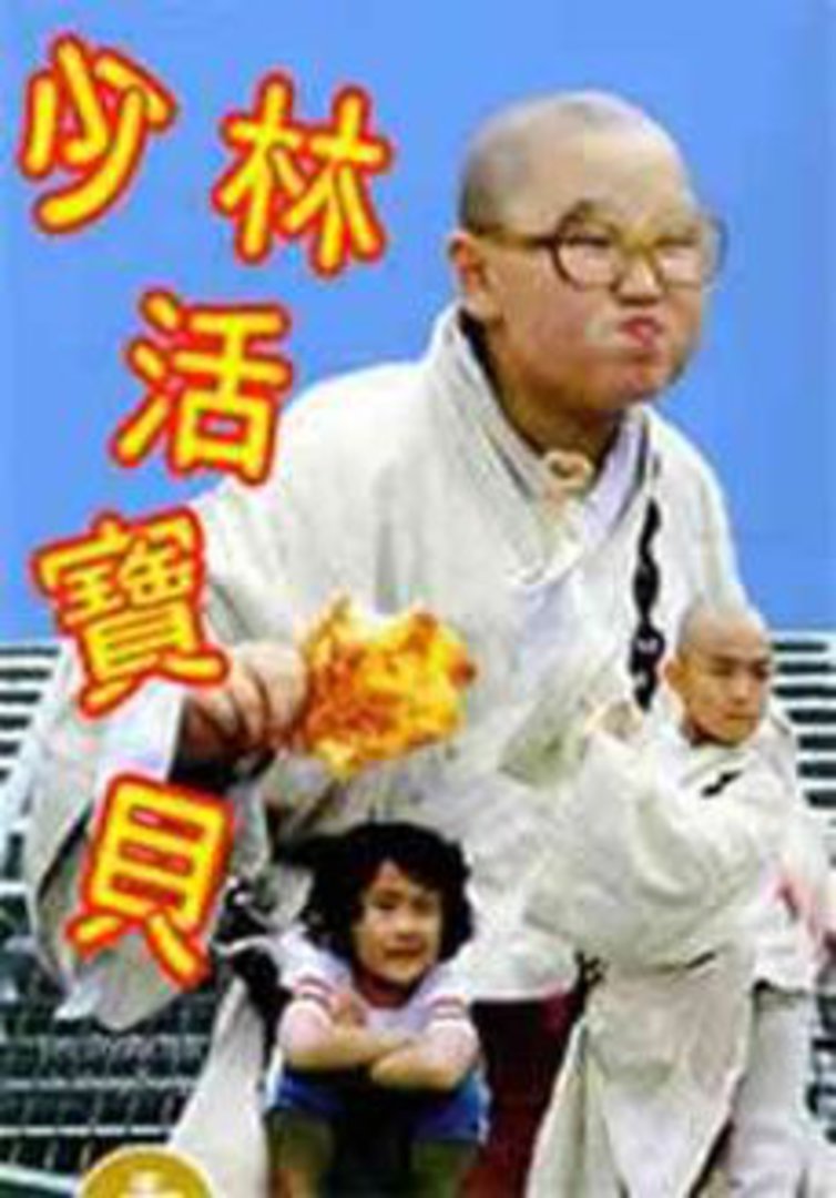 少林活宝贝海报