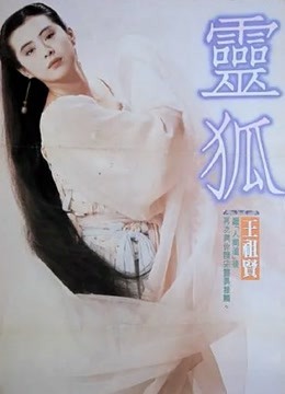 灵狐海报