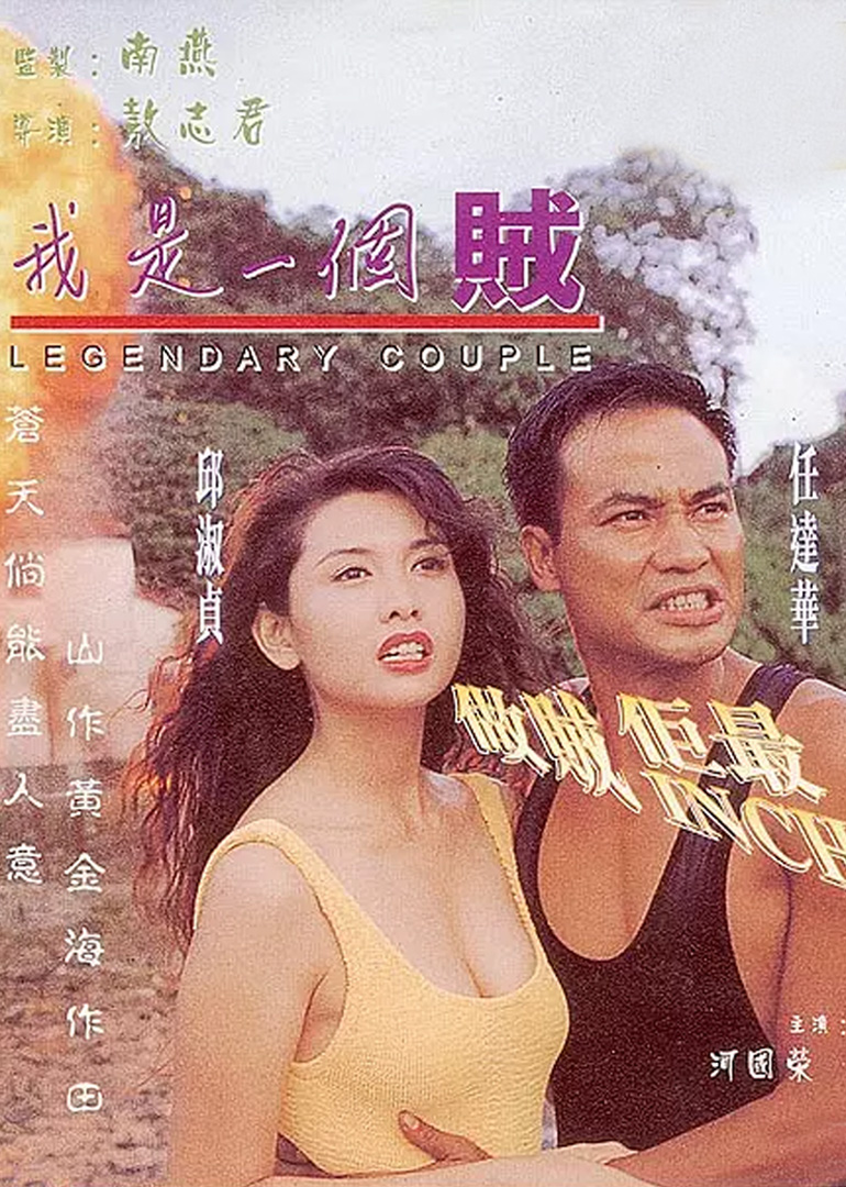 我是一个贼海报