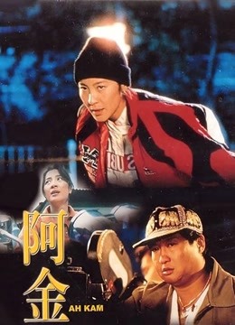 阿金海报