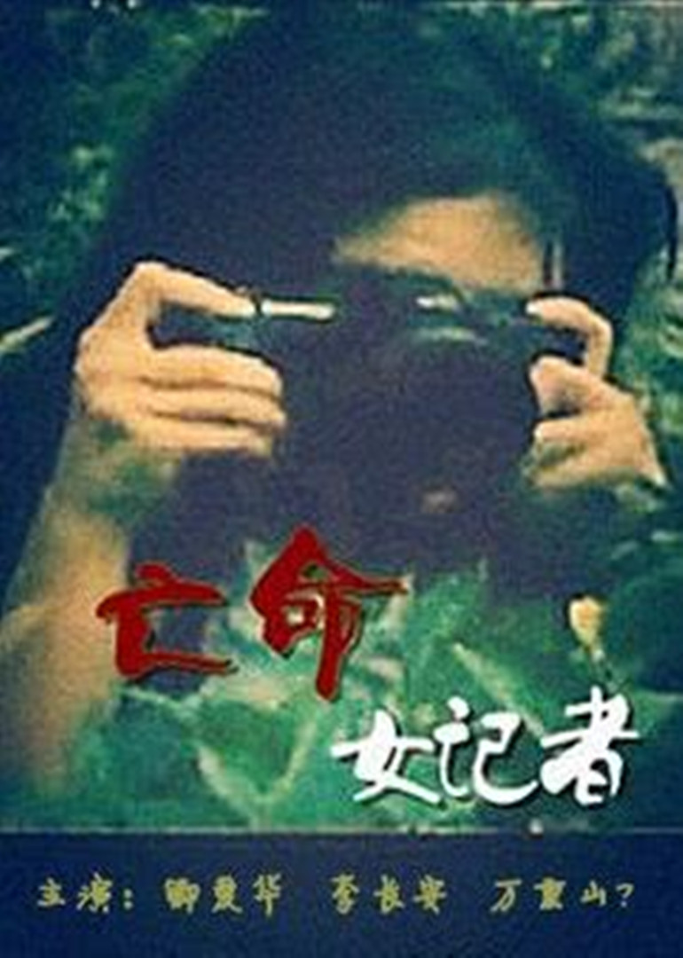 亡命女记者海报