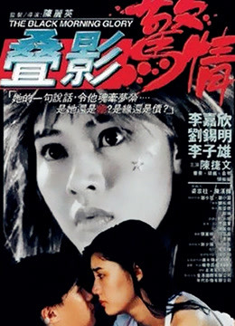 叠影惊情海报