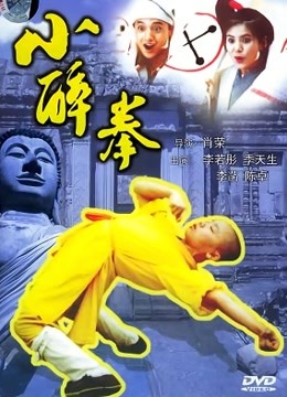 小醉拳海报