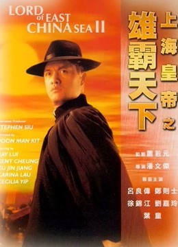 上海皇帝之雄霸天下海报