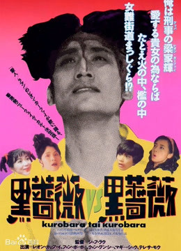 92黑玫瑰对黑玫瑰海报
