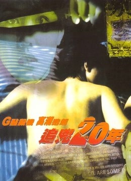 追凶20年海报