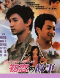 百分百爱你海报