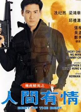 飞虎精英之人间有情海报