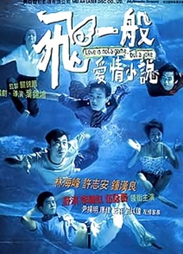 飞一般爱情小说海报