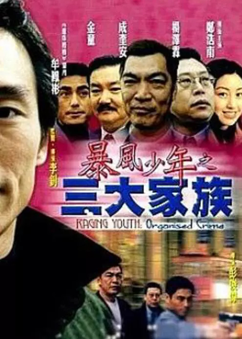 暴风少年之三大家族海报