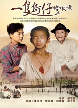 一只鸟仔哮啾啾海报