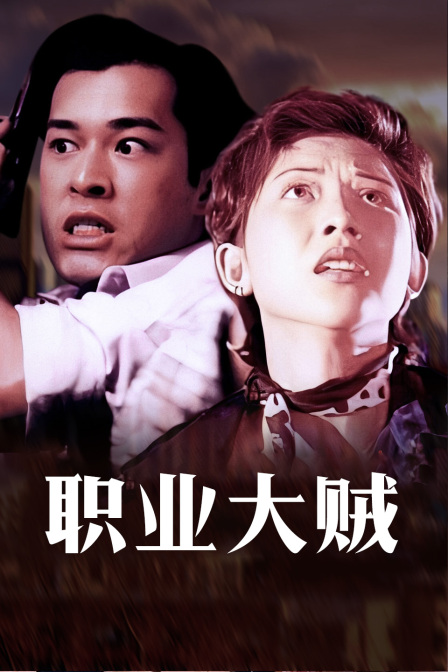 职业大贼海报