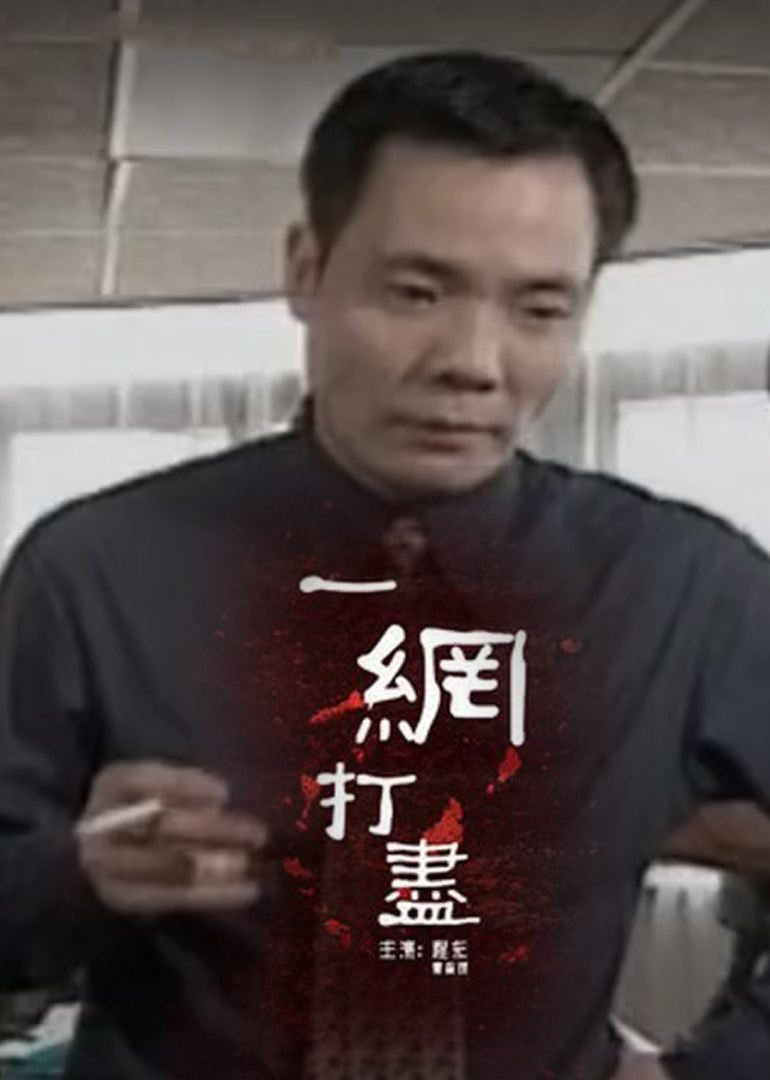 一网打尽海报