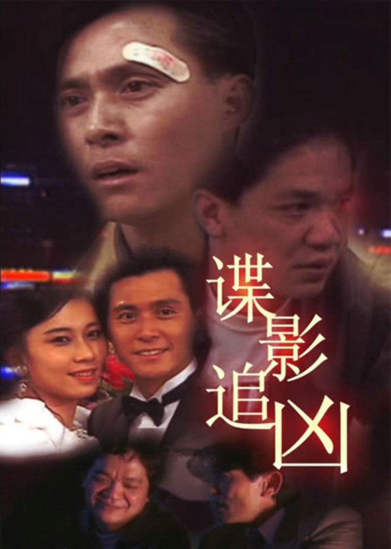 谍影追凶海报
