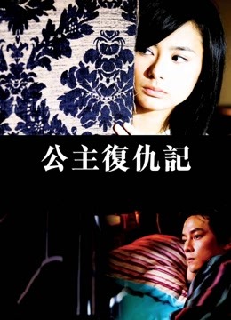 公主复仇记海报