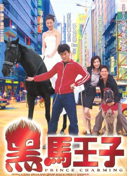 黑马王子海报