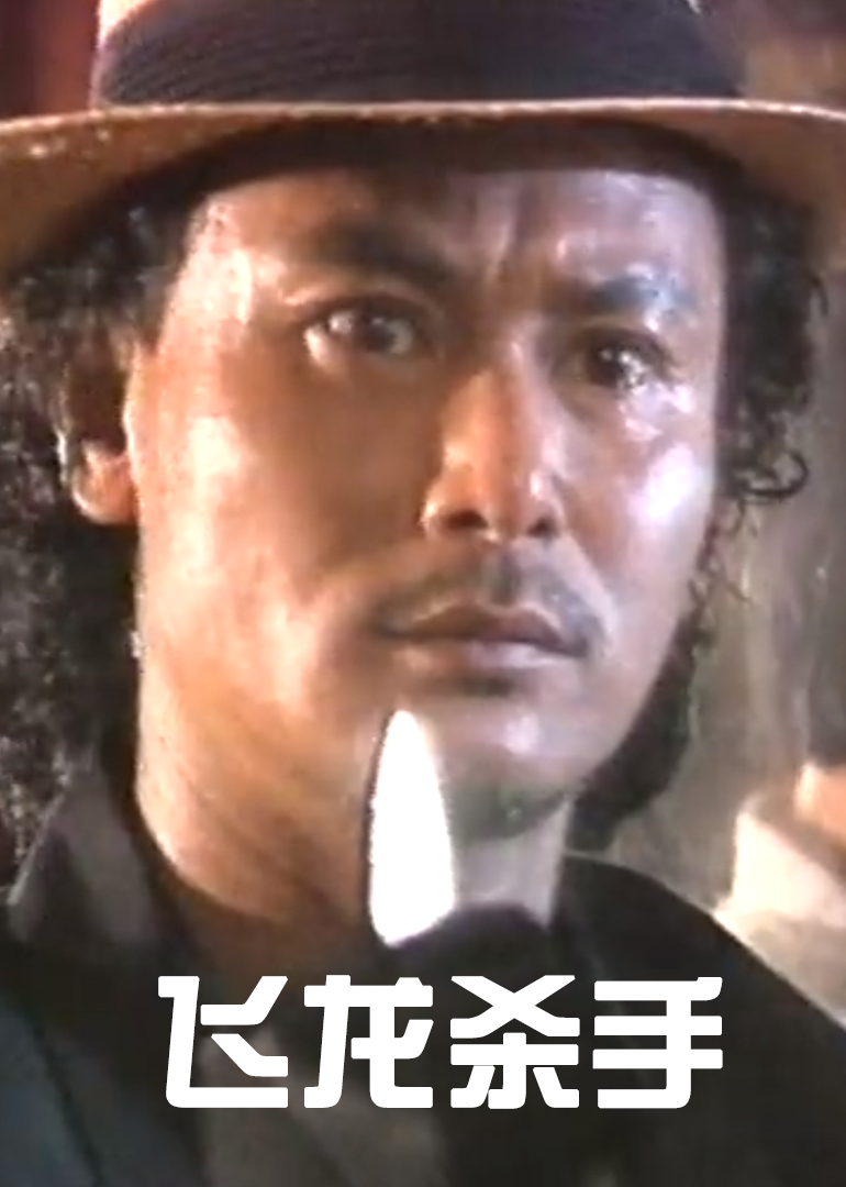飞龙杀手海报