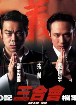 O记三合会档案海报
