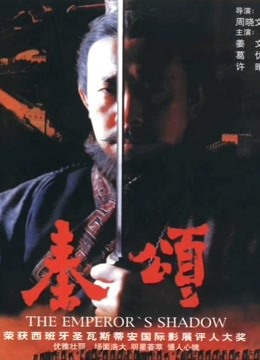 秦颂海报