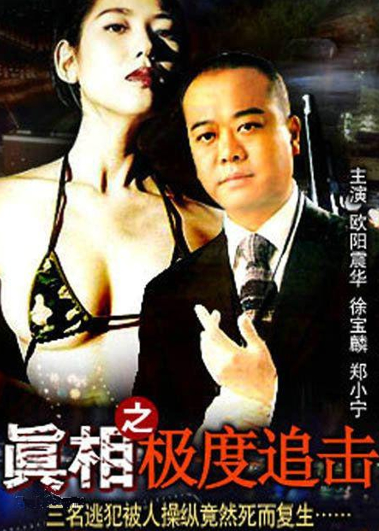 真相之极度追击海报