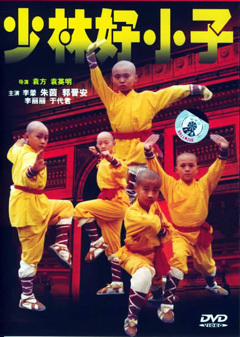 少林龙小子海报