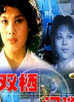 双栖间谍海报