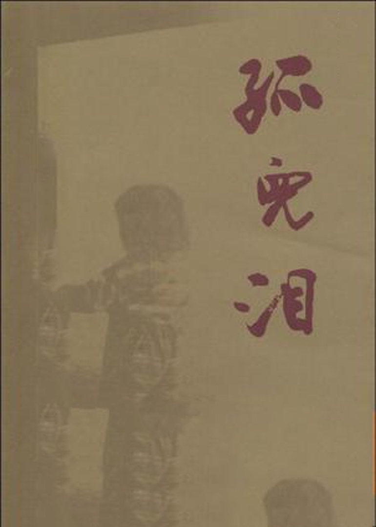 孤儿泪海报
