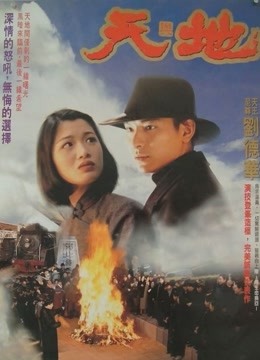 天与地海报