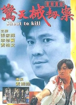 重案实录之惊天械劫案海报