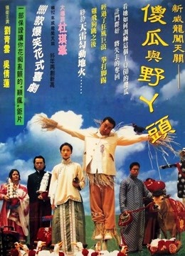 呆佬拜寿海报