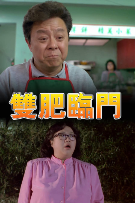双肥临门海报
